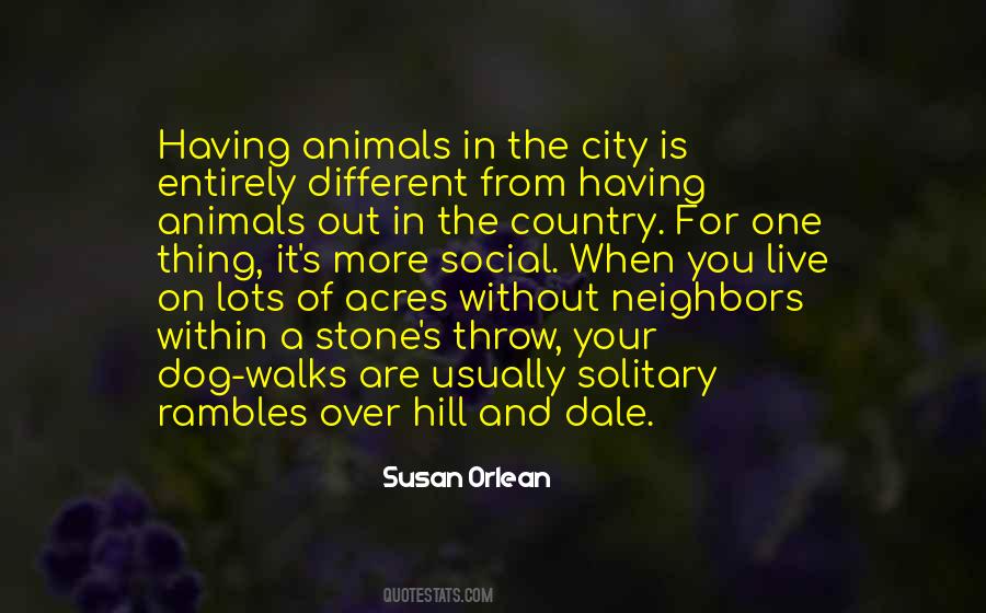 Susan Orlean Quotes #1226067