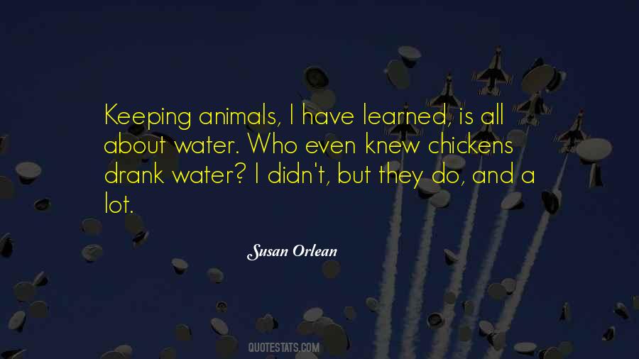 Susan Orlean Quotes #186741
