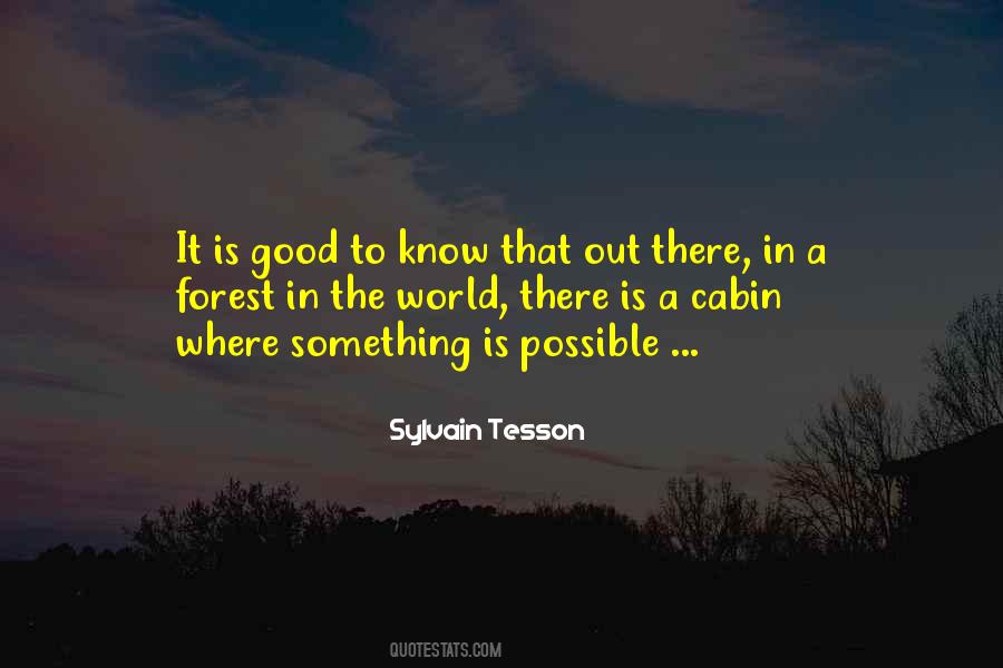 TOP 5 QUOTES BY SYLVAIN TESSON