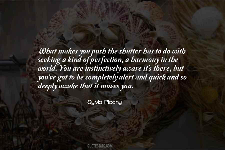 Sylvia Plachy Quotes #1680357