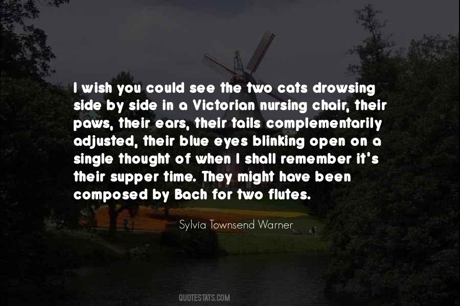 Sylvia Townsend Warner Quotes #312403