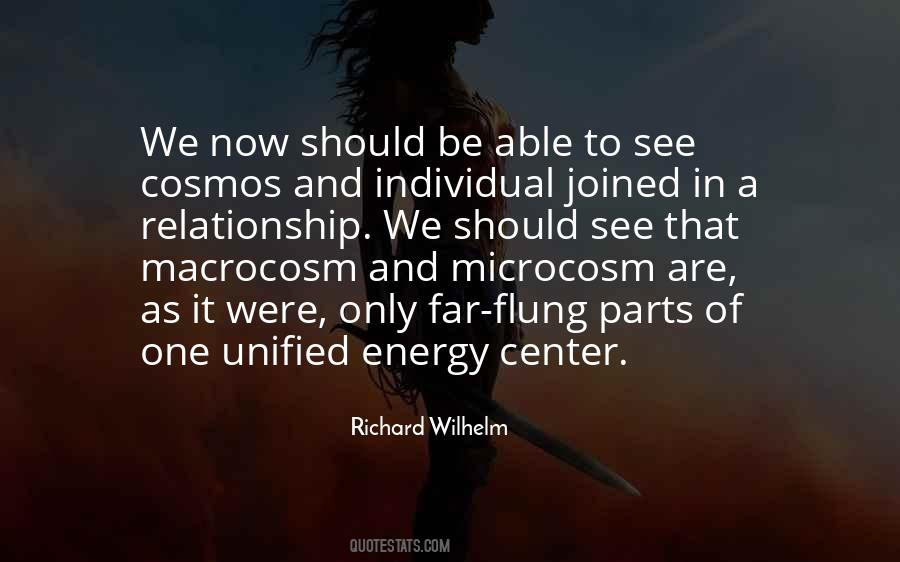 Quotes About Microcosm #443378