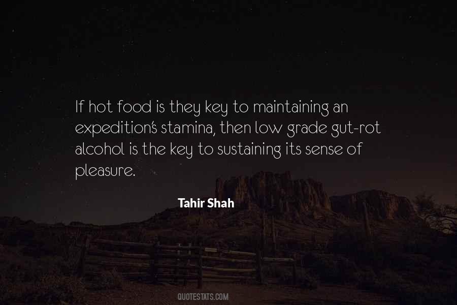 Tahir Shah Quotes #914604