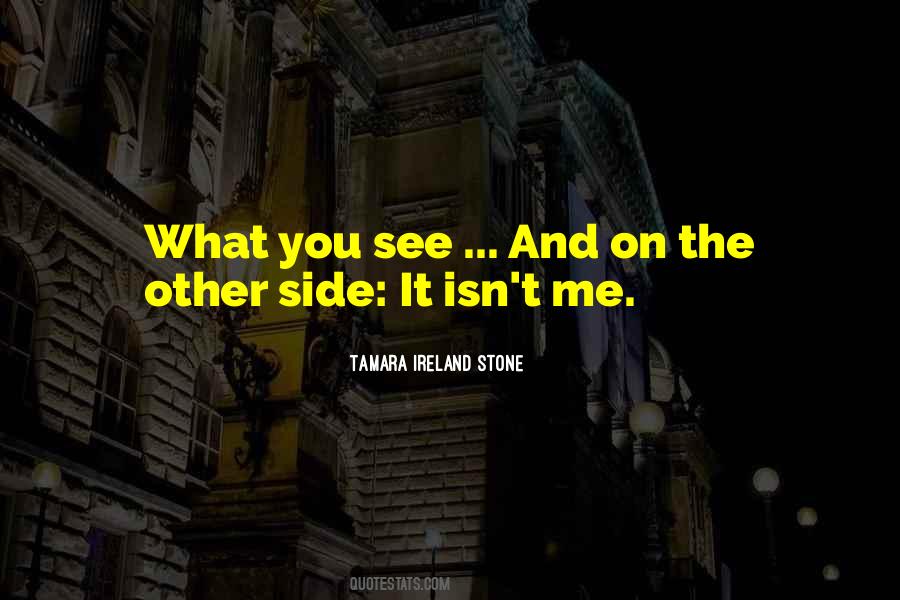 Tamara Ireland Stone Quotes #1381310