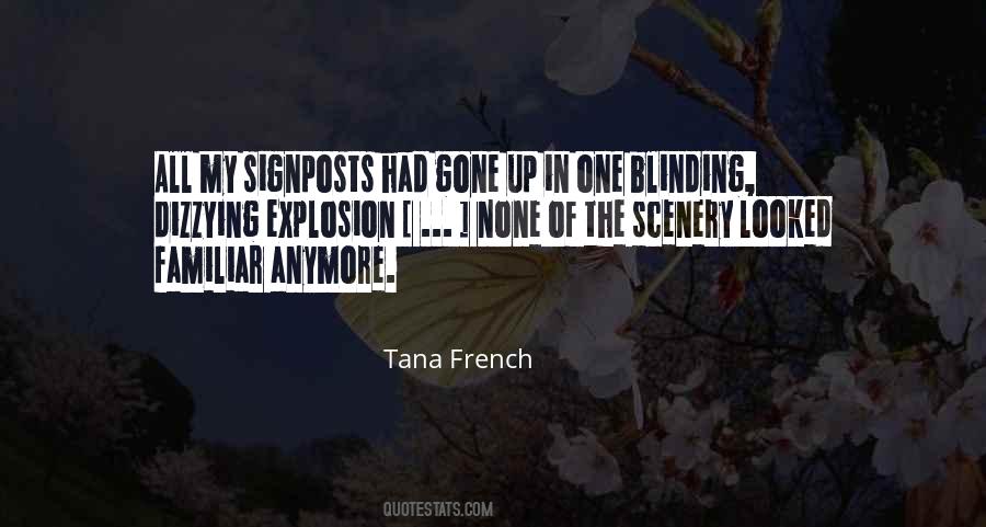 Tana French Quotes #395961