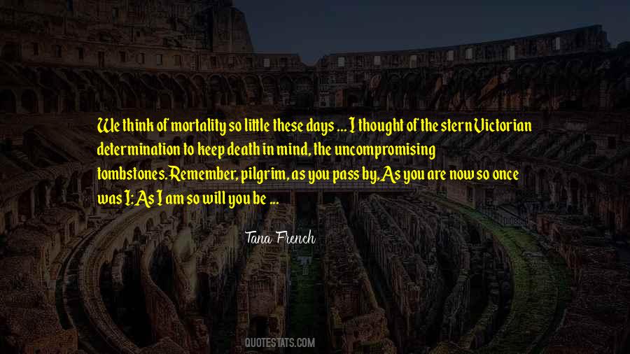 Tana French Quotes #8144