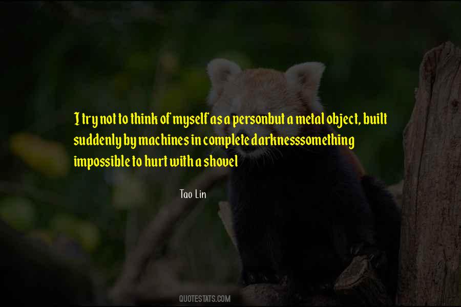 Tao Lin Quotes #213605