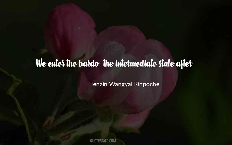 Tenzin Wangyal Rinpoche Quotes #130908