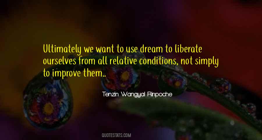 Tenzin Wangyal Rinpoche Quotes #1322753