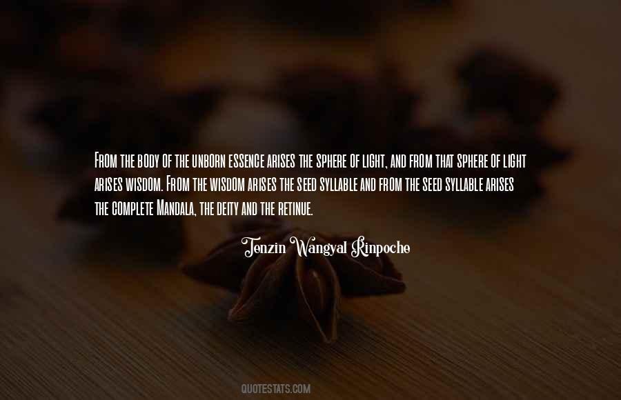 Tenzin Wangyal Rinpoche Quotes #1697696