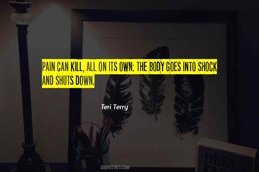 Teri Terry Quotes #1606618