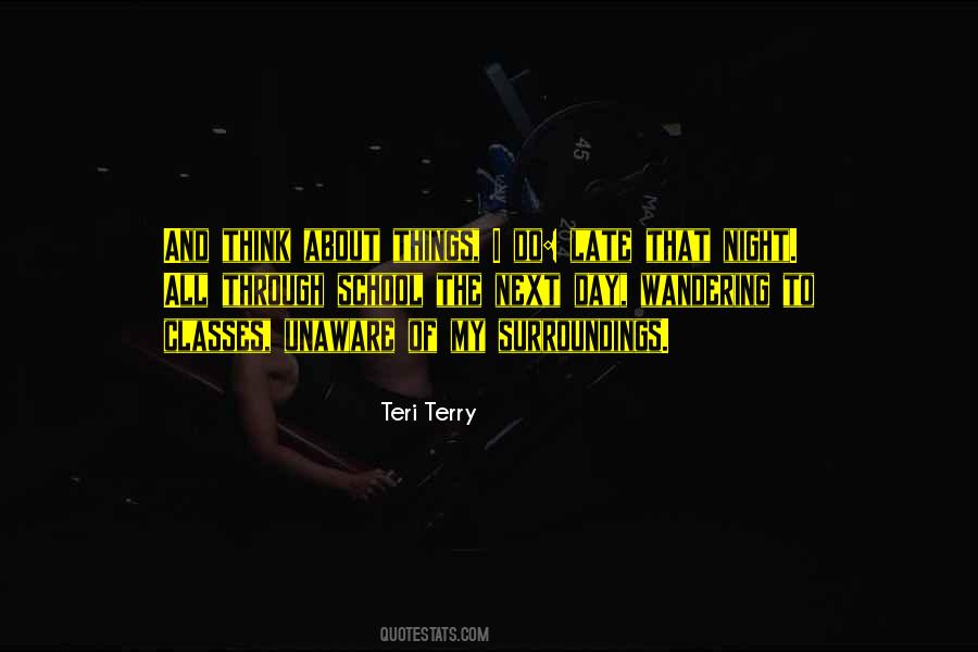 Teri Terry Quotes #1822846
