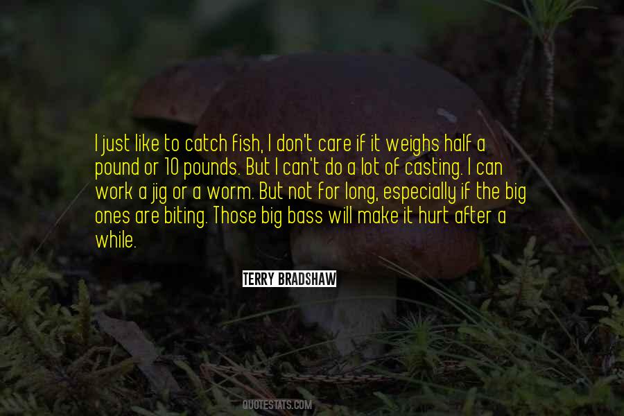 Terry Bradshaw Quotes #1100678 Terry Bradshaw Quotes #1100678