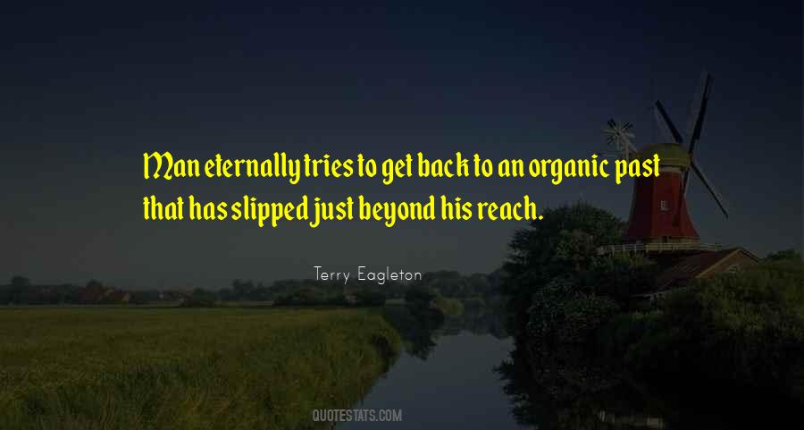 Terry Eagleton Quotes #733274