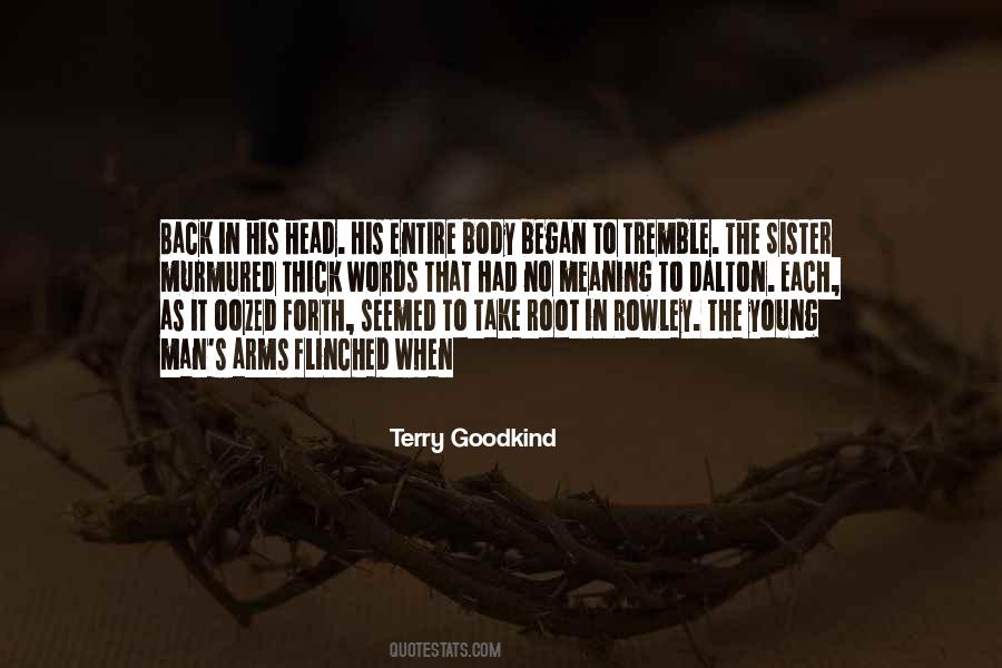 Terry Goodkind Quotes #321317