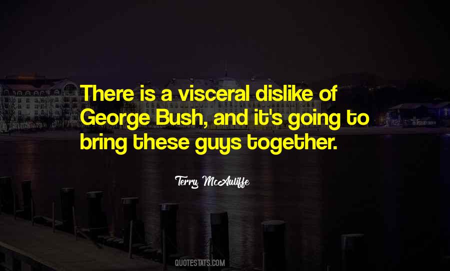 Terry Mcauliffe Quotes #1534747