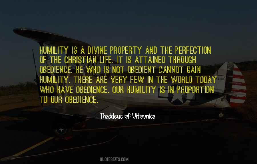 Thaddeus Of Vitovnica Quotes #959794