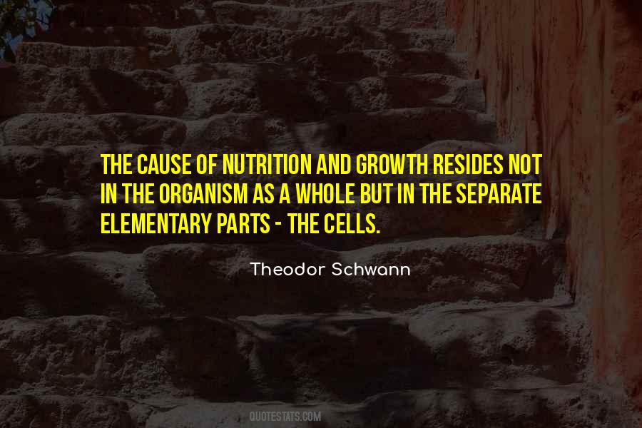 Theodor Schwann Quotes #1802899