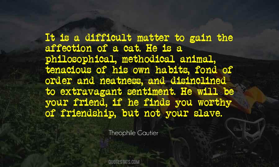 Theophile Gautier Quotes #1014258