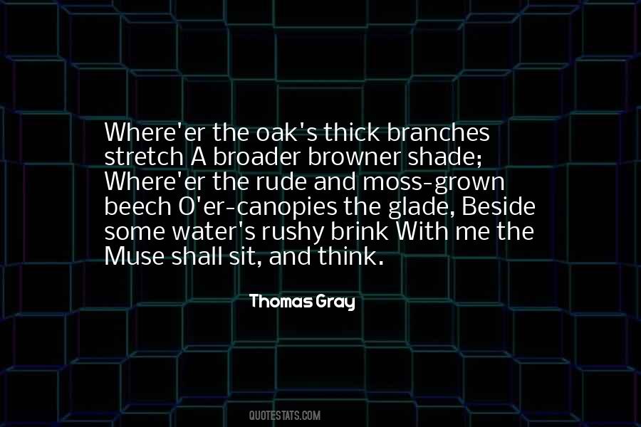 Thomas O'malley Quotes #975963