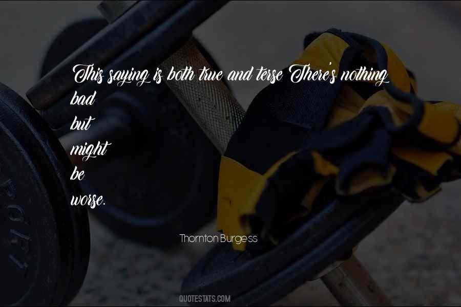 Thornton Burgess Quotes #990033