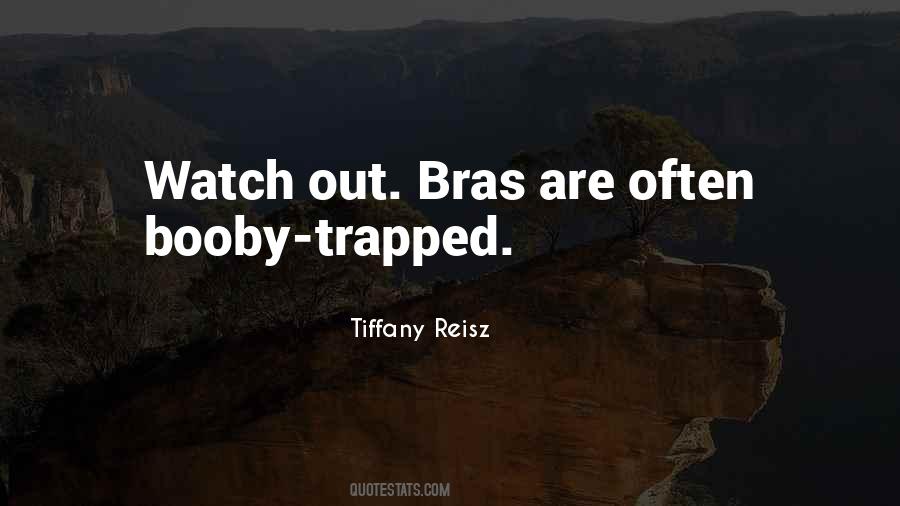 Tiffany Reisz Quotes #222917