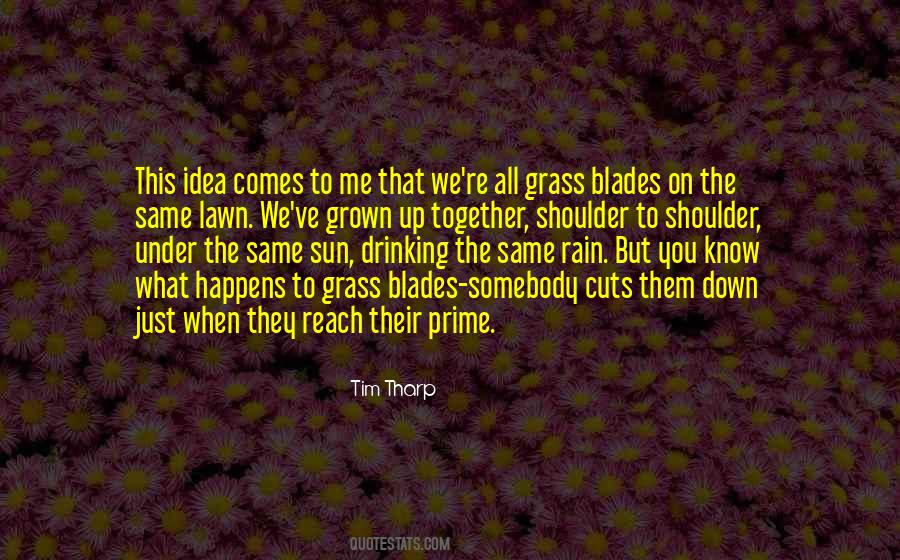 Tim Tharp Quotes #511390