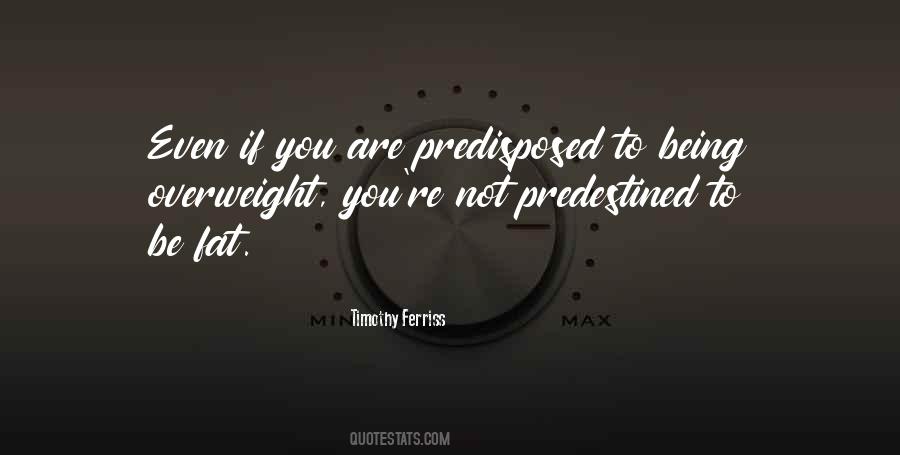 Timothy Ferriss Quotes #649764