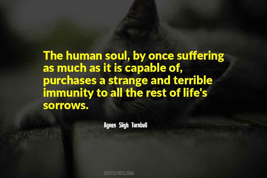 Quotes About Sorrows #28859 Quotes About Sorrows #28859