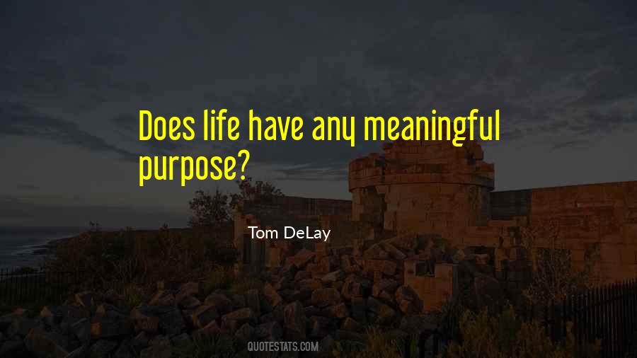 Tom Delay Quotes #433112