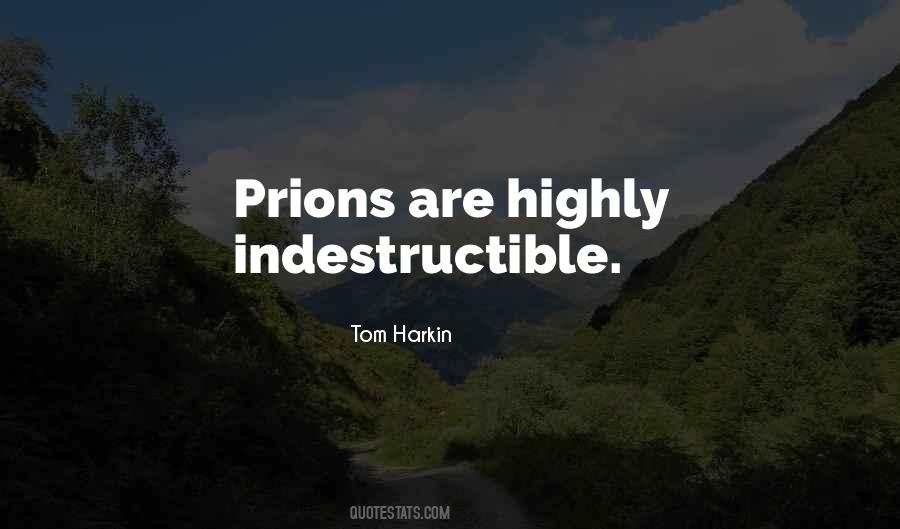 Tom Harkin Quotes #1295708