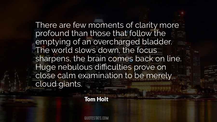 Tom Holt Quotes #905553