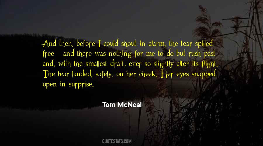 Tom Mcneal Quotes #739377