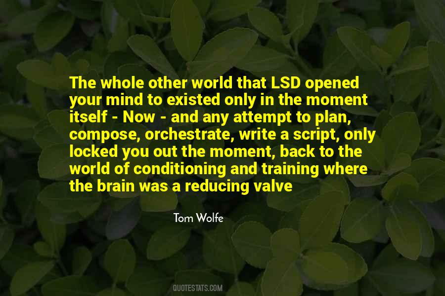 Tom Wolfe Quotes #132180