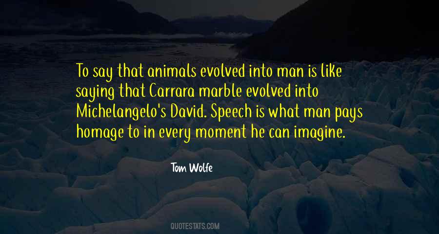 Tom Wolfe Quotes #829776