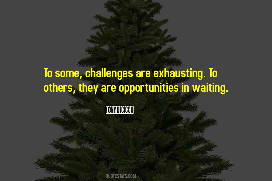 Tony Dicicco Quotes #1136021
