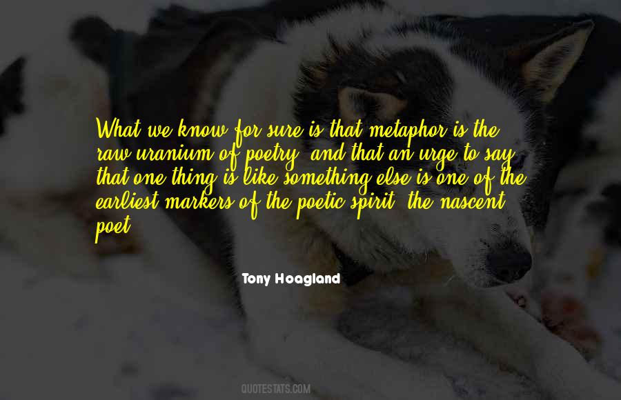Tony Hoagland Quotes #1760674