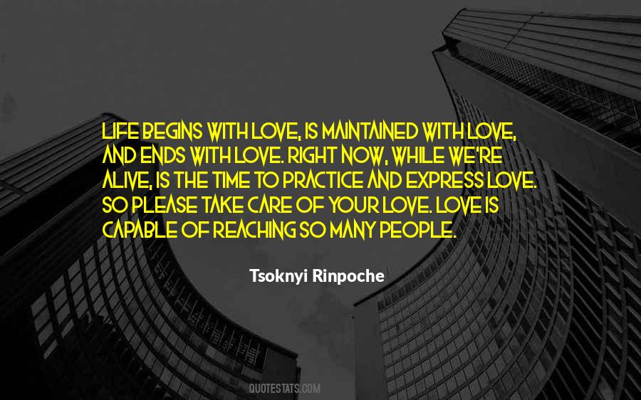 Tsoknyi Rinpoche Quotes #1818150