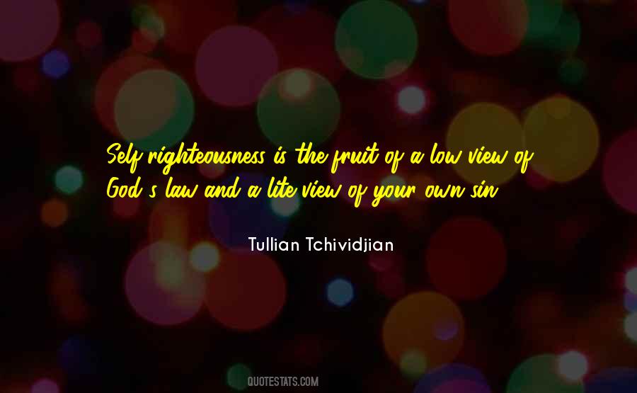 Tullian Tchividjian Quotes #321432
