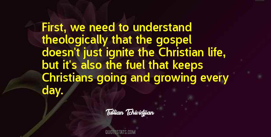 Tullian Tchividjian Quotes #367568