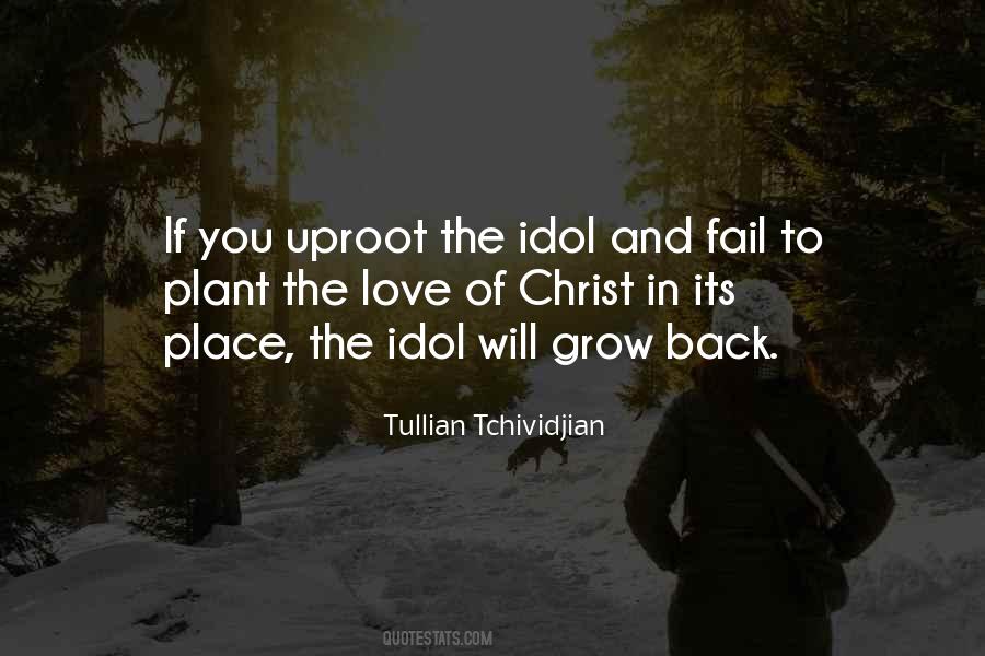 Tullian Tchividjian Quotes #37453