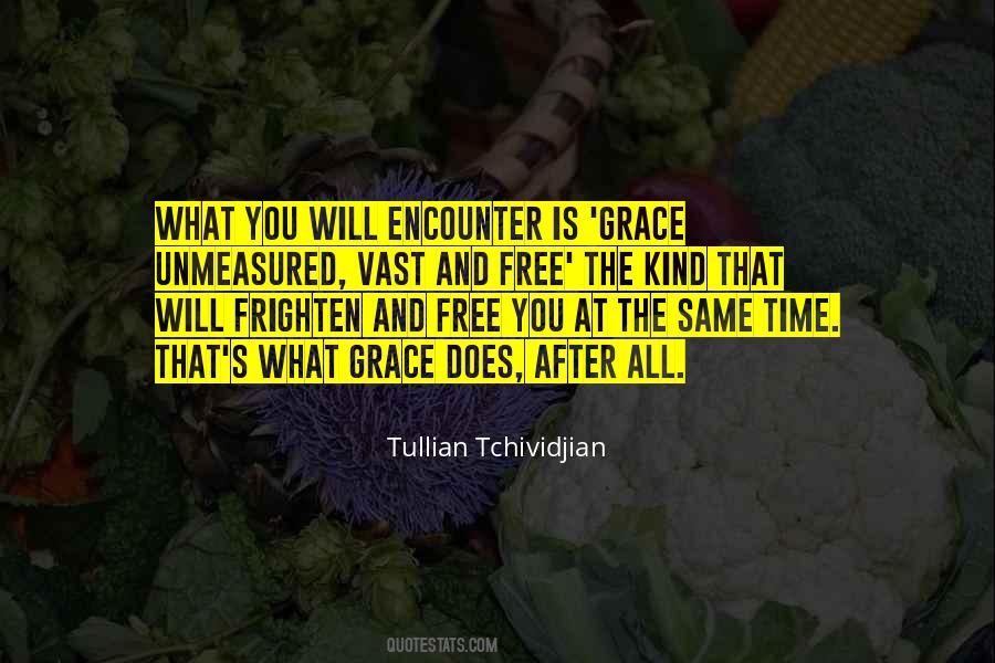 Tullian Tchividjian Quotes #81746