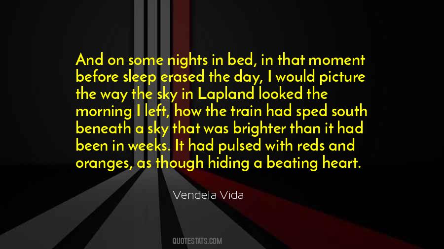 Vendela Vida Quotes #332093