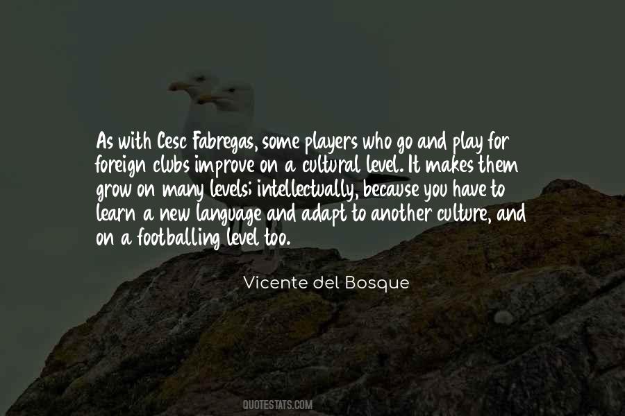 Vicente Del Bosque Quotes #807302