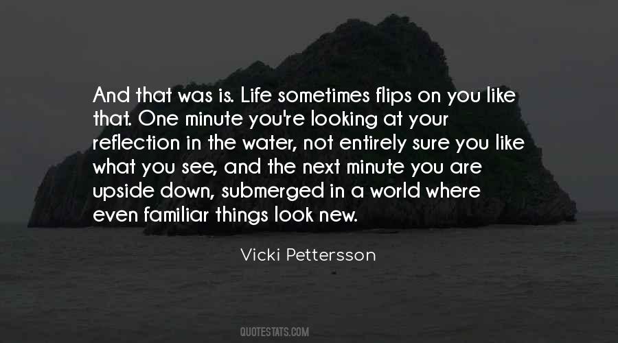 Vicki Pettersson Quotes #1639977