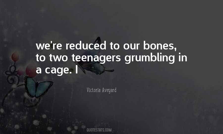 Victoria Aveyard Quotes #529250