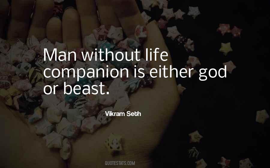 Vikram Seth Quotes #1655700