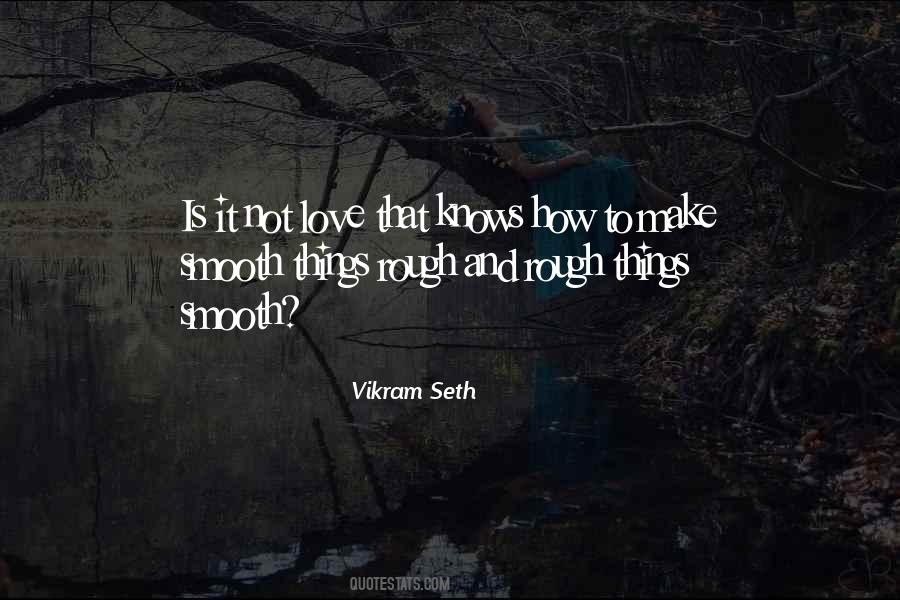 Vikram Seth Quotes #948998