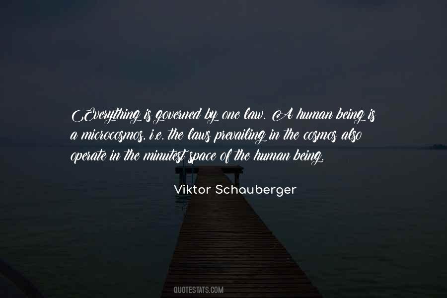 Viktor Schauberger Quotes #259981