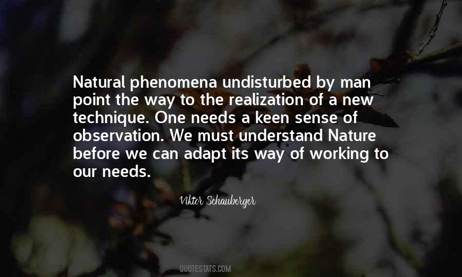 Viktor Schauberger Quotes #642533
